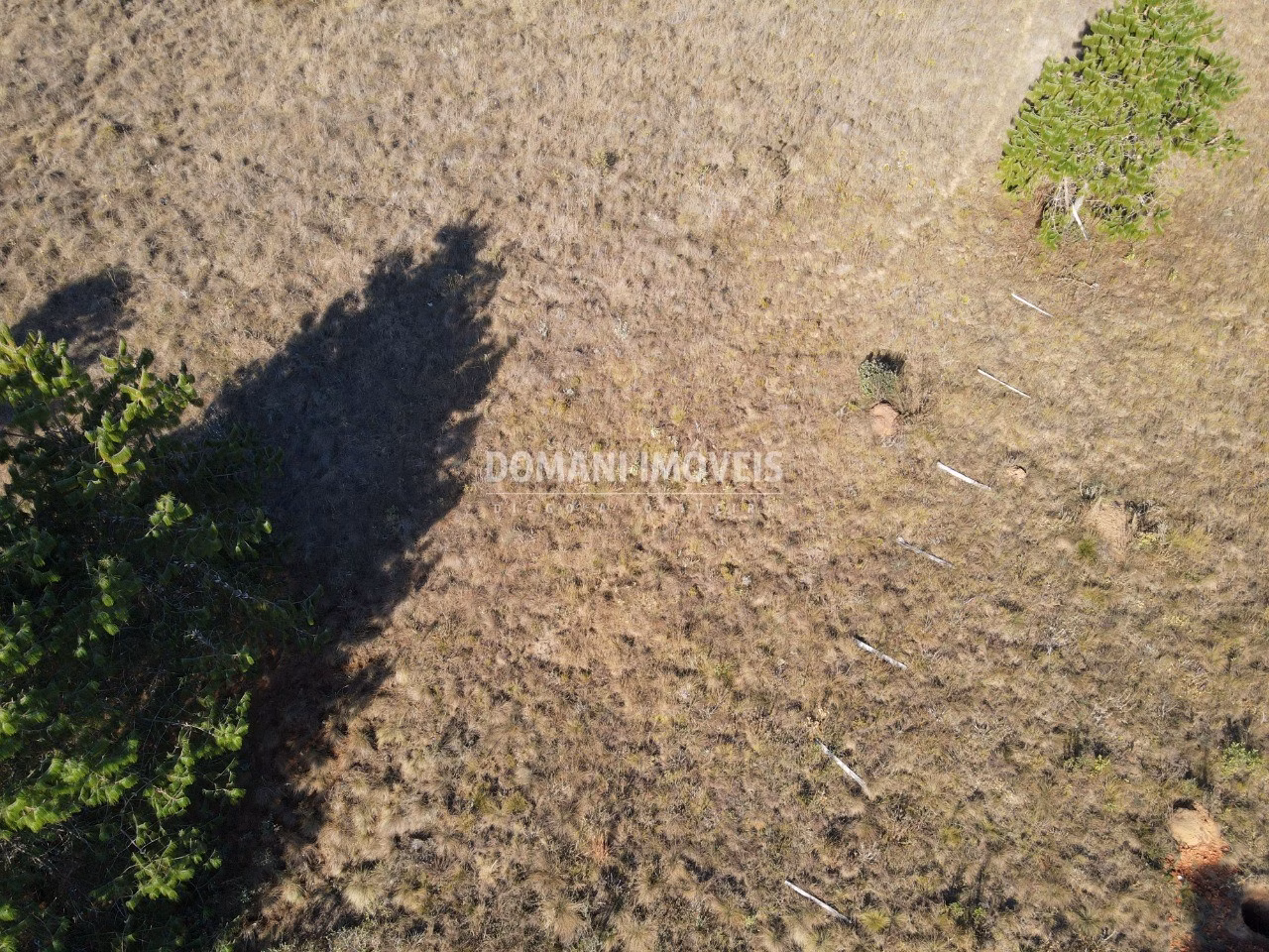 Plot of 1,100 m² in Campos do Jordão, SP, Brazil