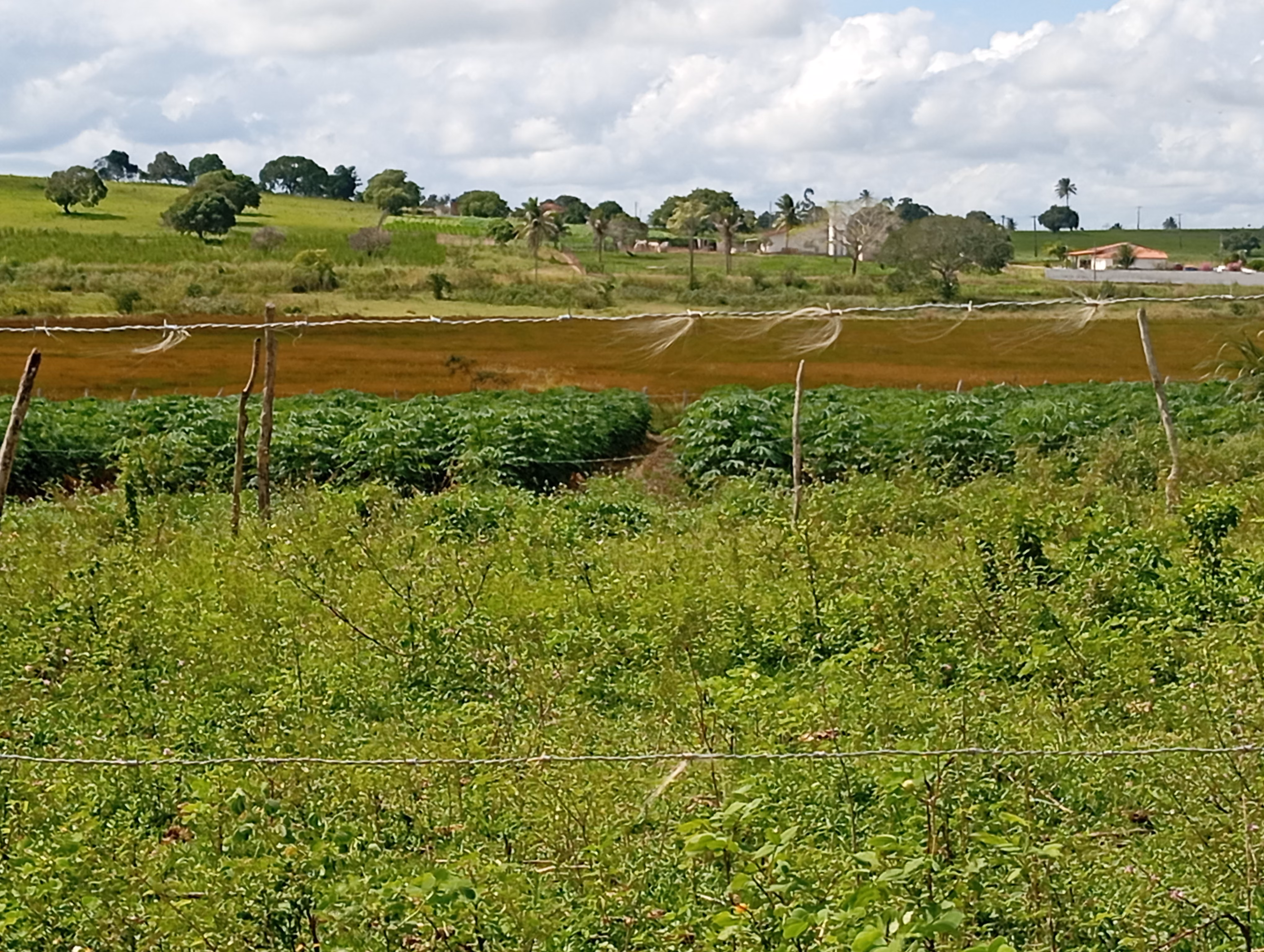 Terreno de 7 ha em Caldas Brandão, PB