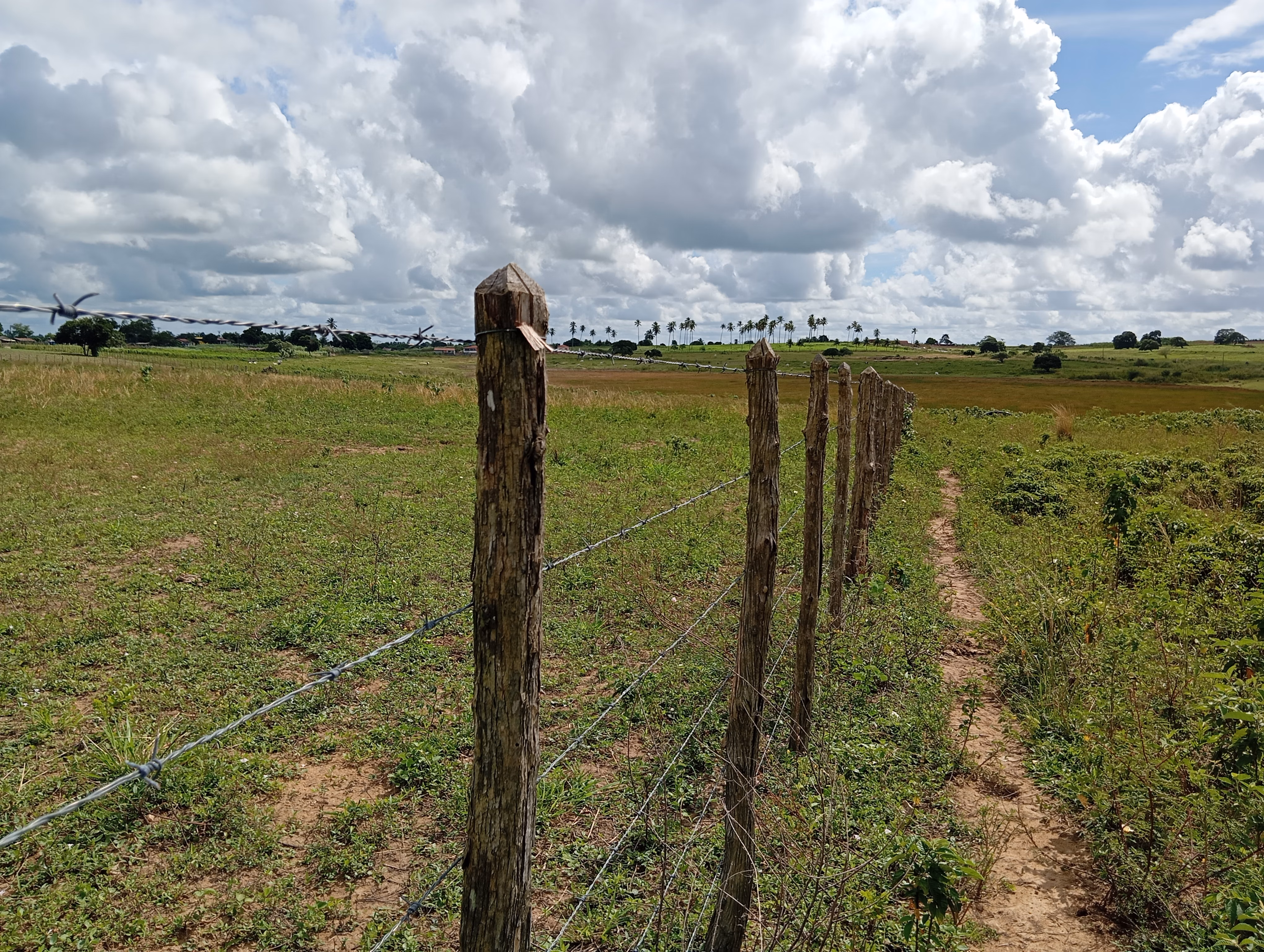 Terreno de 7 ha em Caldas Brandão, PB