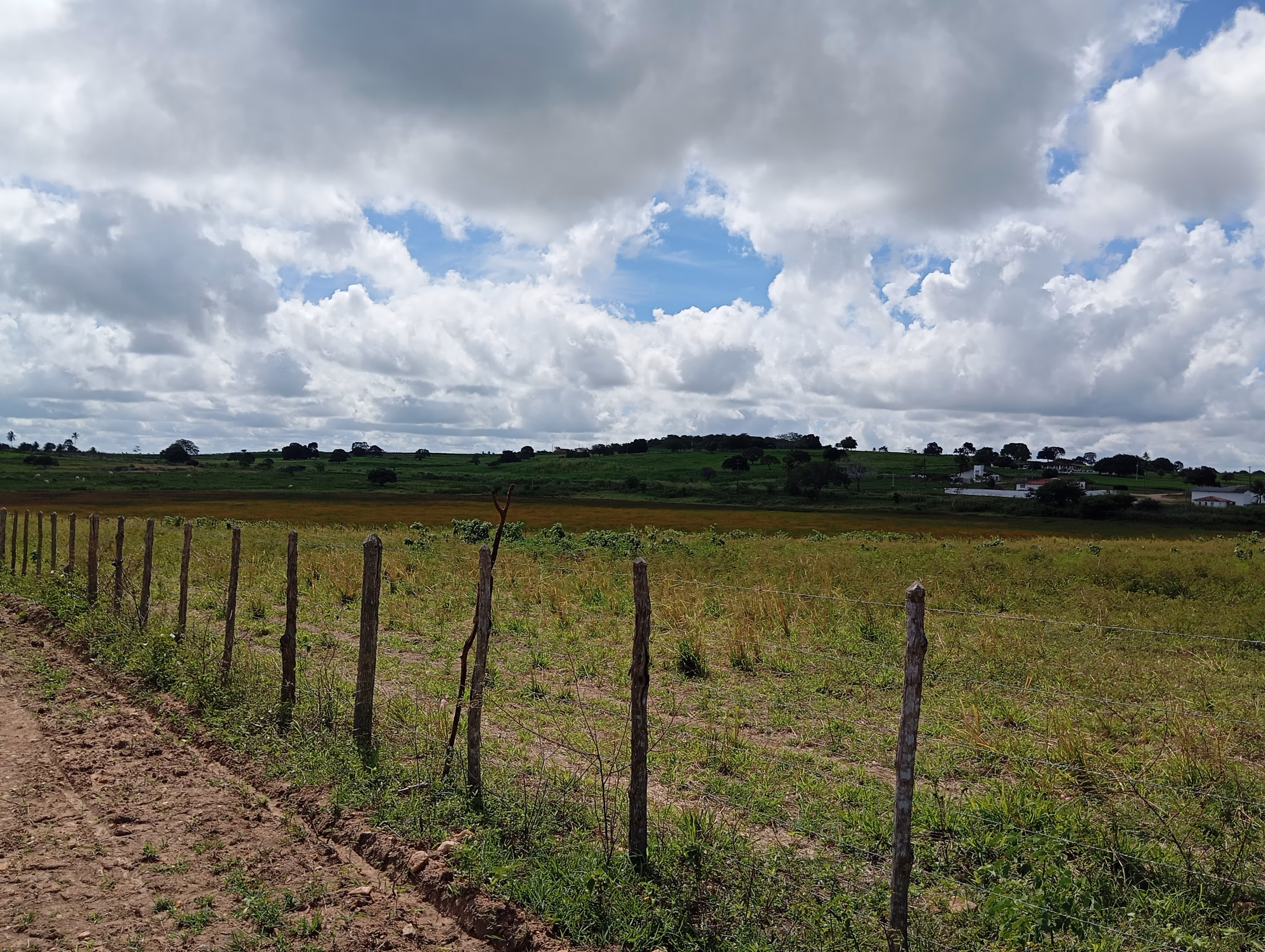 Terreno de 7 ha em Caldas Brandão, PB