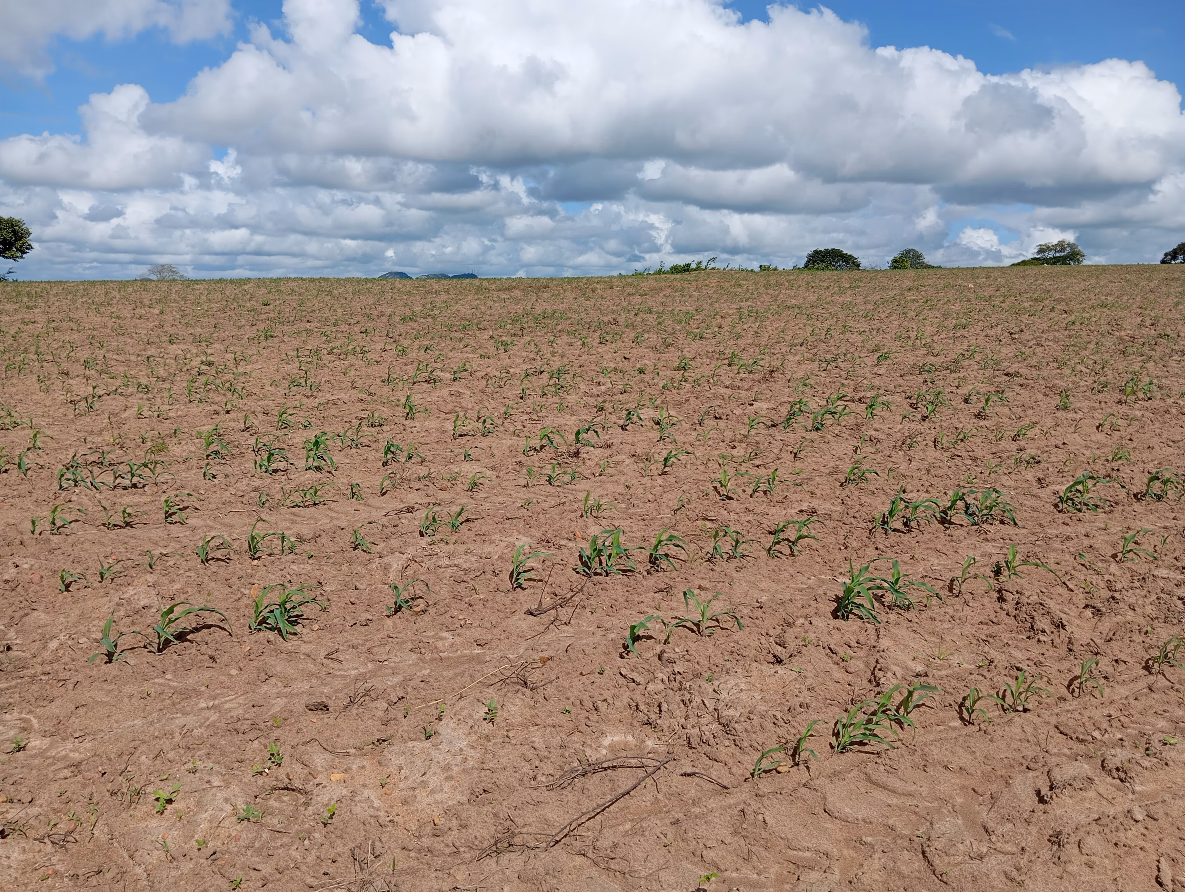 Terreno de 7 ha em Caldas Brandão, PB