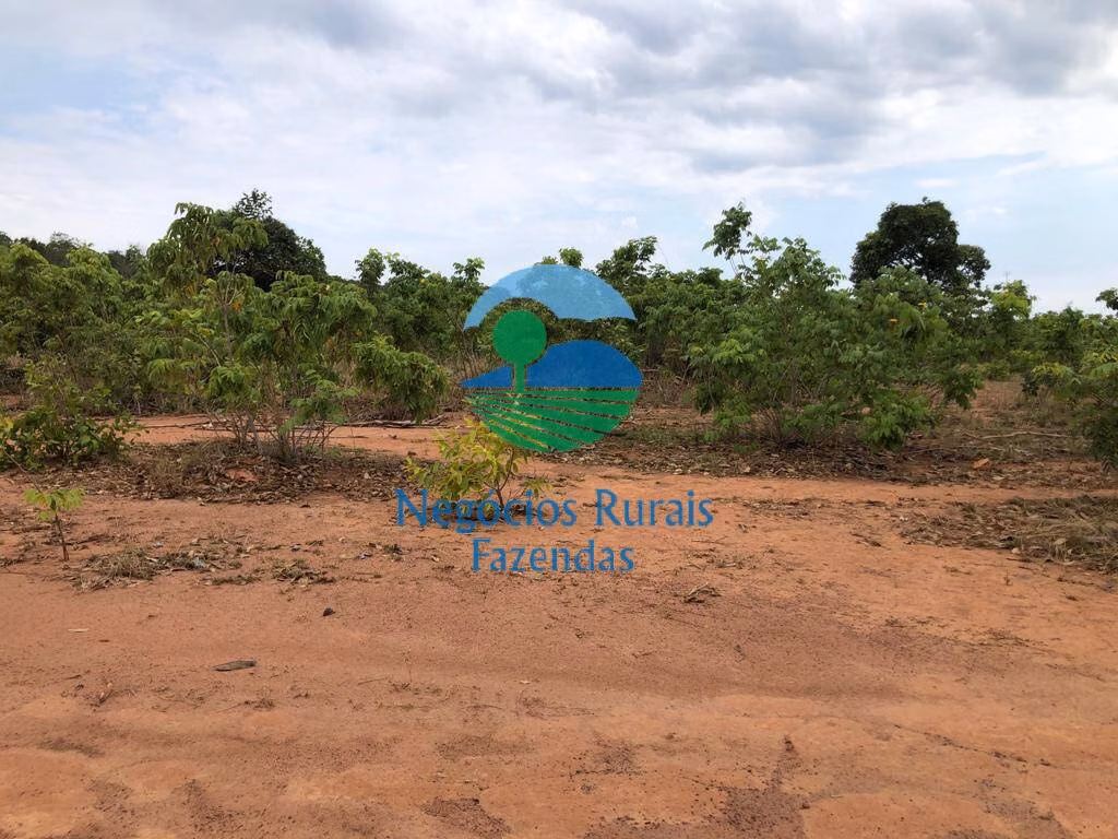 Fazenda de 484 ha em São Valério, TO