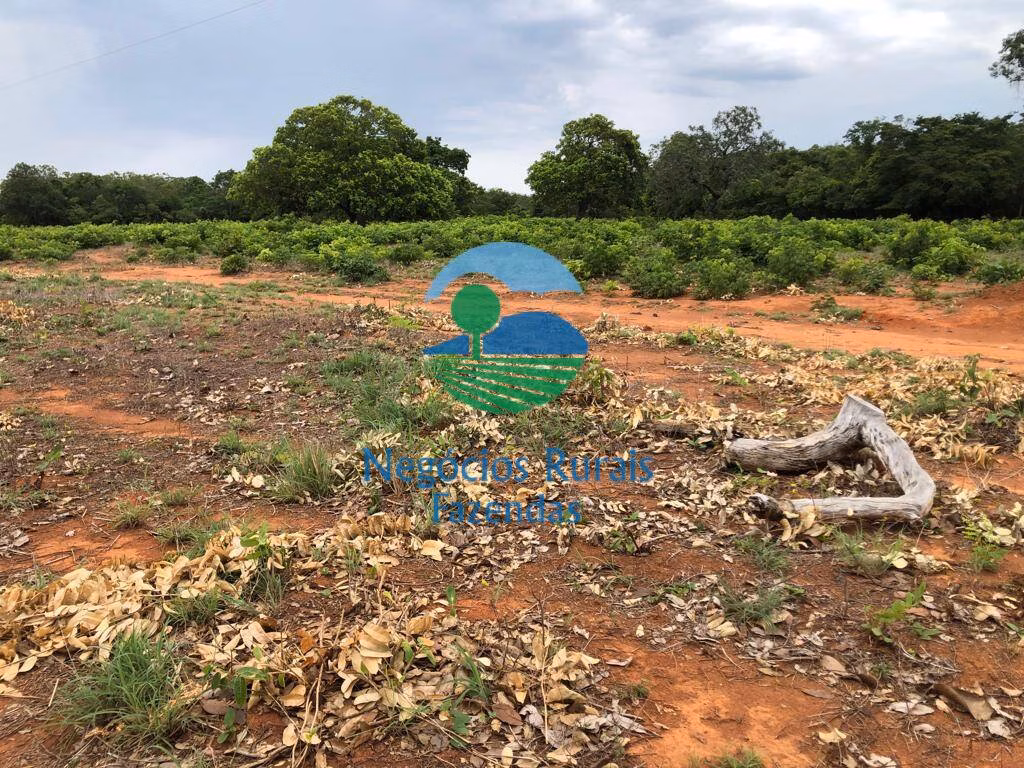 Fazenda de 484 ha em São Valério, TO