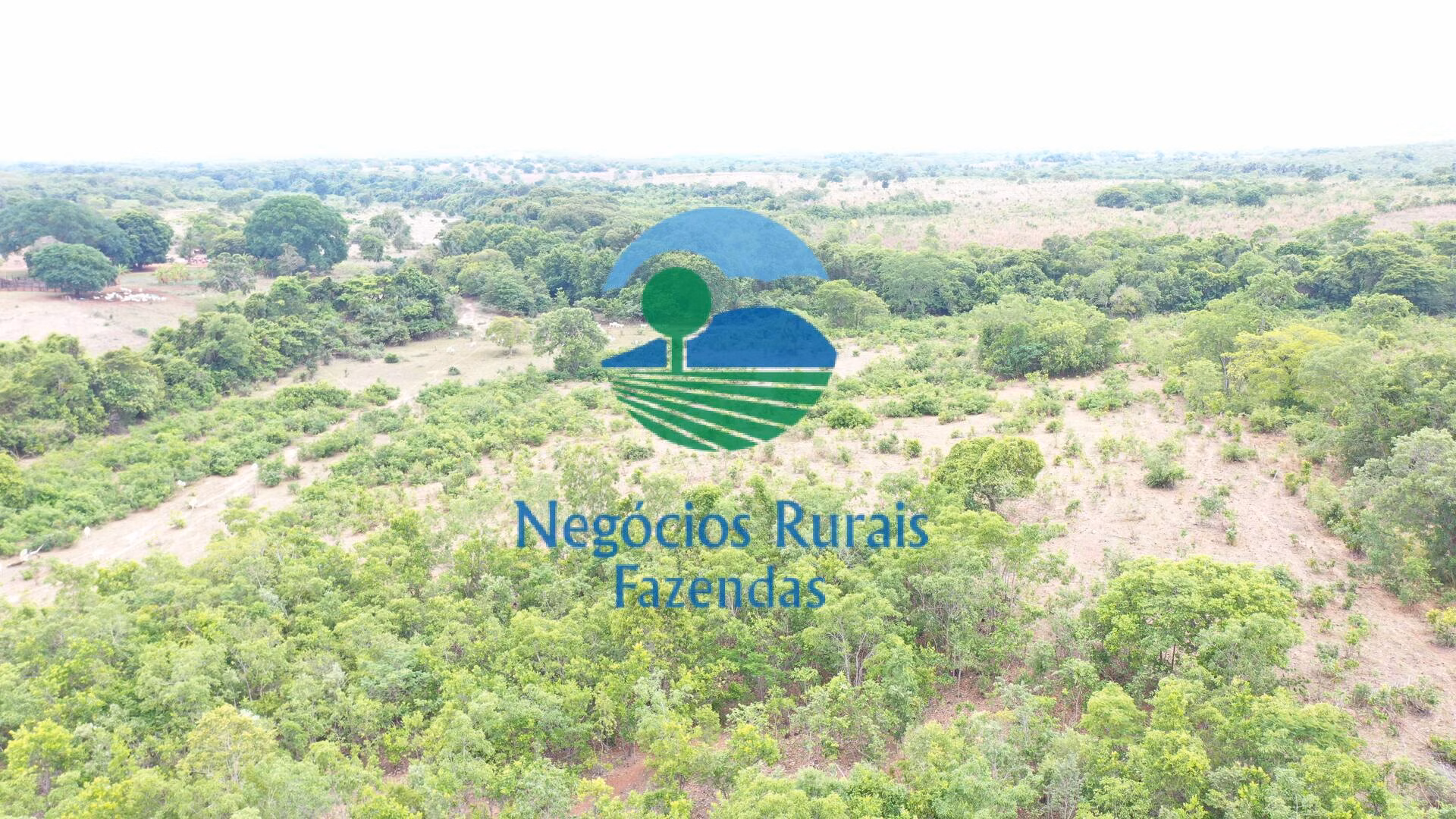 Fazenda de 484 ha em São Valério, TO