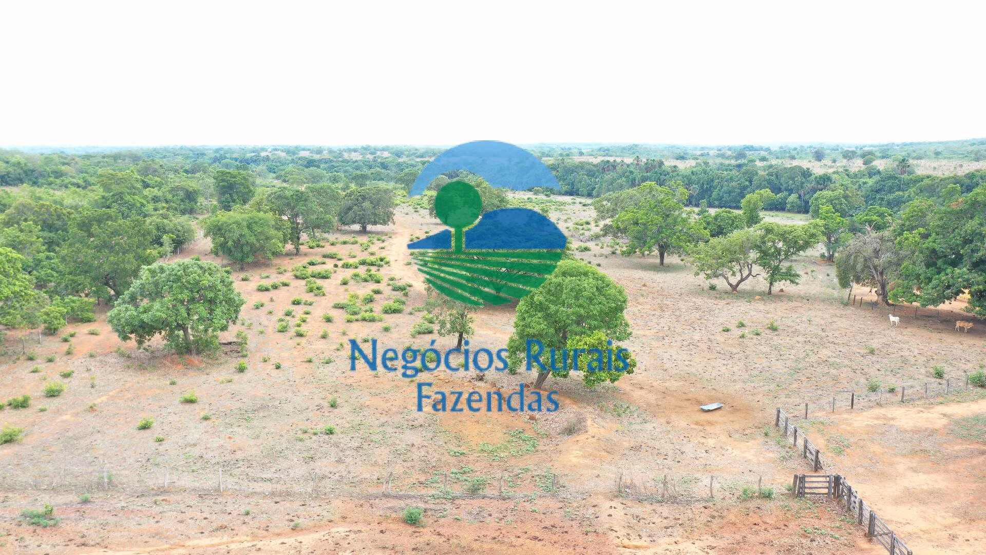 Fazenda de 484 ha em São Valério, TO