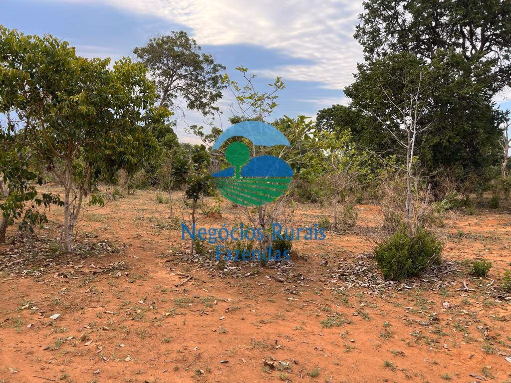 Fazenda de 484 ha em São Valério, TO