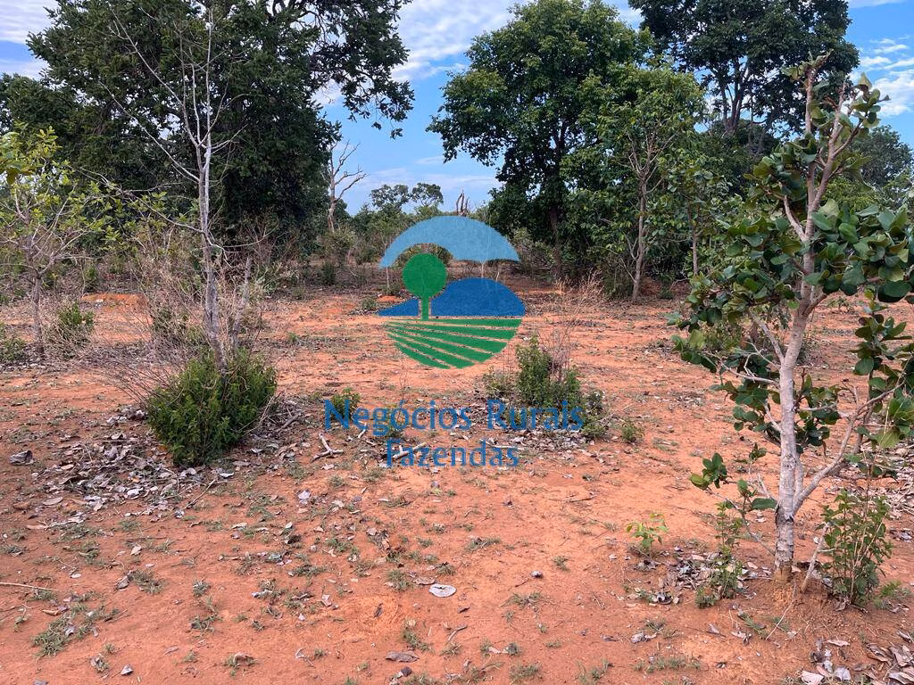 Fazenda de 484 ha em São Valério, TO