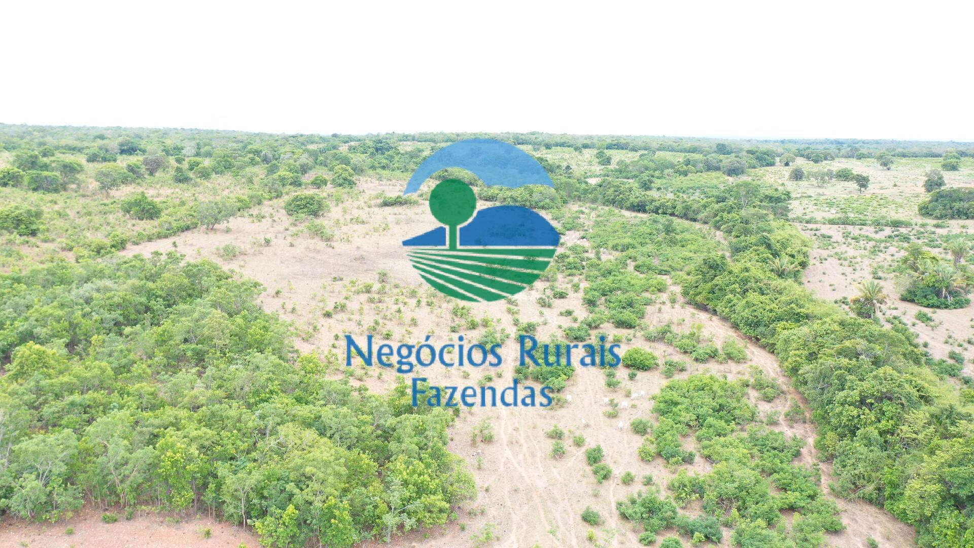 Fazenda de 484 ha em São Valério, TO