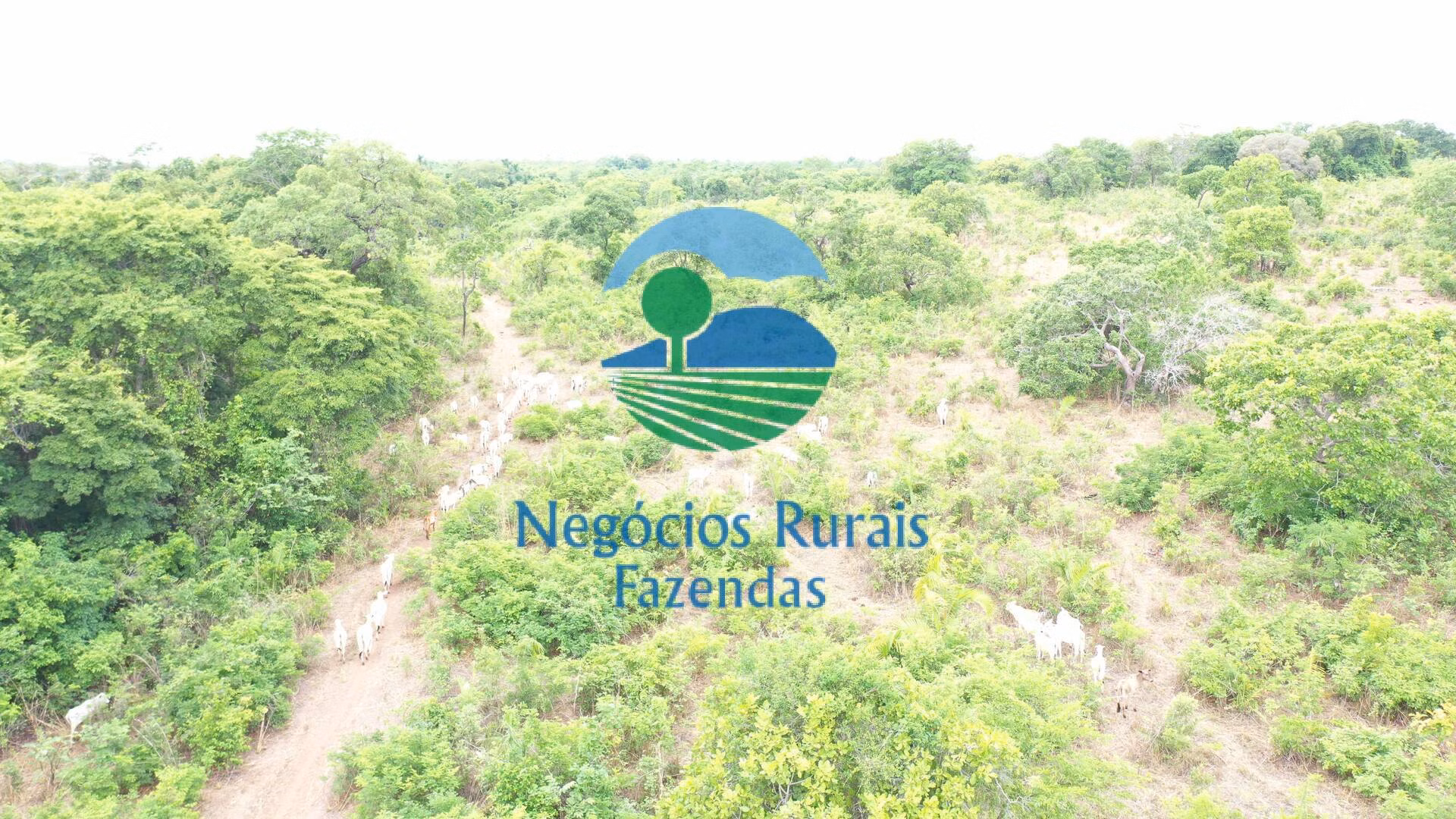 Fazenda de 484 ha em São Valério, TO