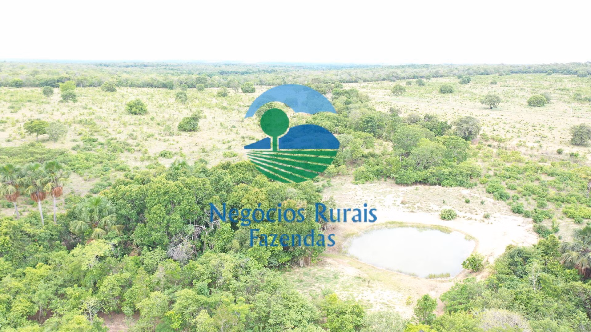 Fazenda de 484 ha em São Valério, TO