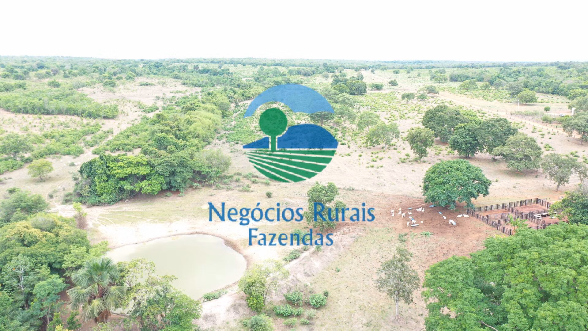Fazenda de 484 ha em São Valério, TO
