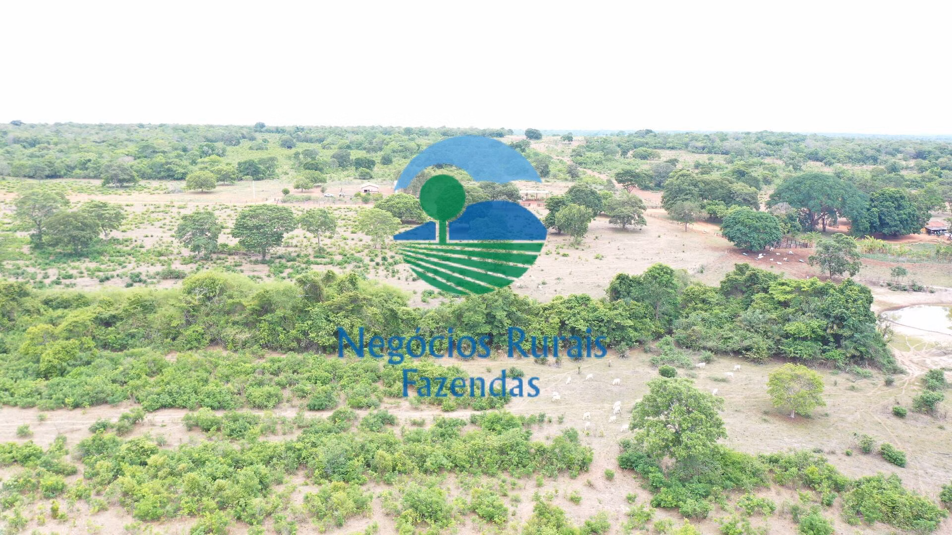 Fazenda de 484 ha em São Valério, TO