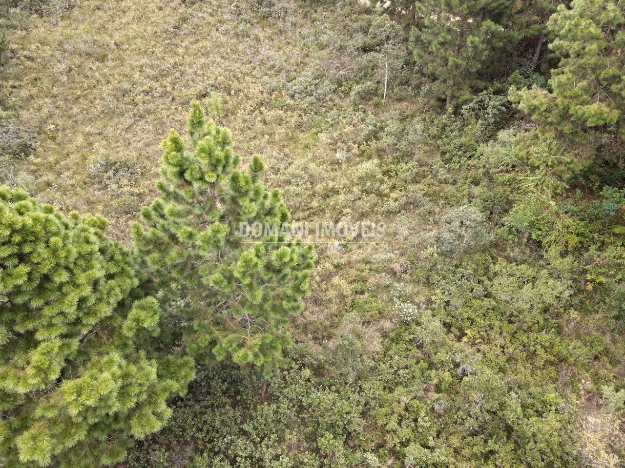 Plot of 3,030 m² in Campos do Jordão, SP, Brazil
