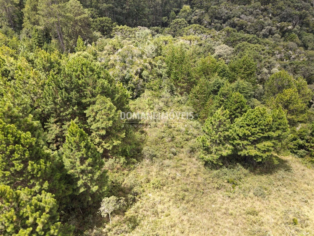 Plot of 3,030 m² in Campos do Jordão, SP, Brazil