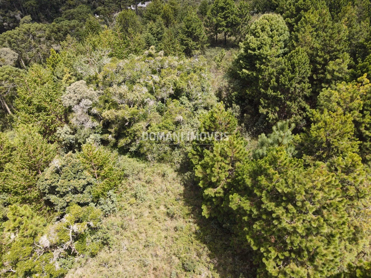 Plot of 3,030 m² in Campos do Jordão, SP, Brazil