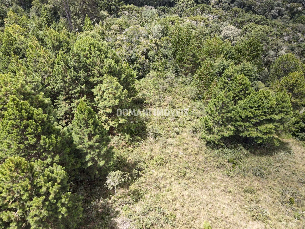 Plot of 3,030 m² in Campos do Jordão, SP, Brazil