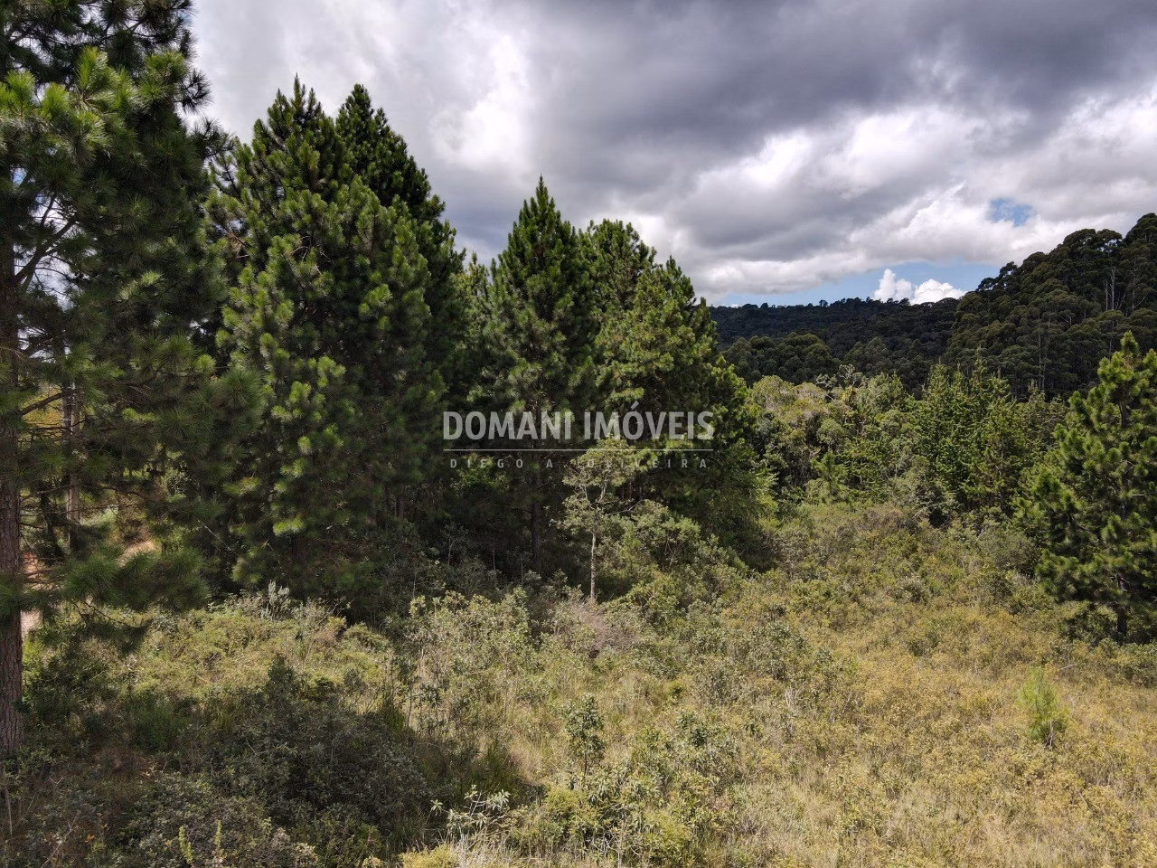 Plot of 3,030 m² in Campos do Jordão, SP, Brazil