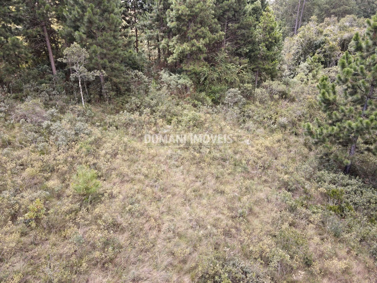 Plot of 3,030 m² in Campos do Jordão, SP, Brazil