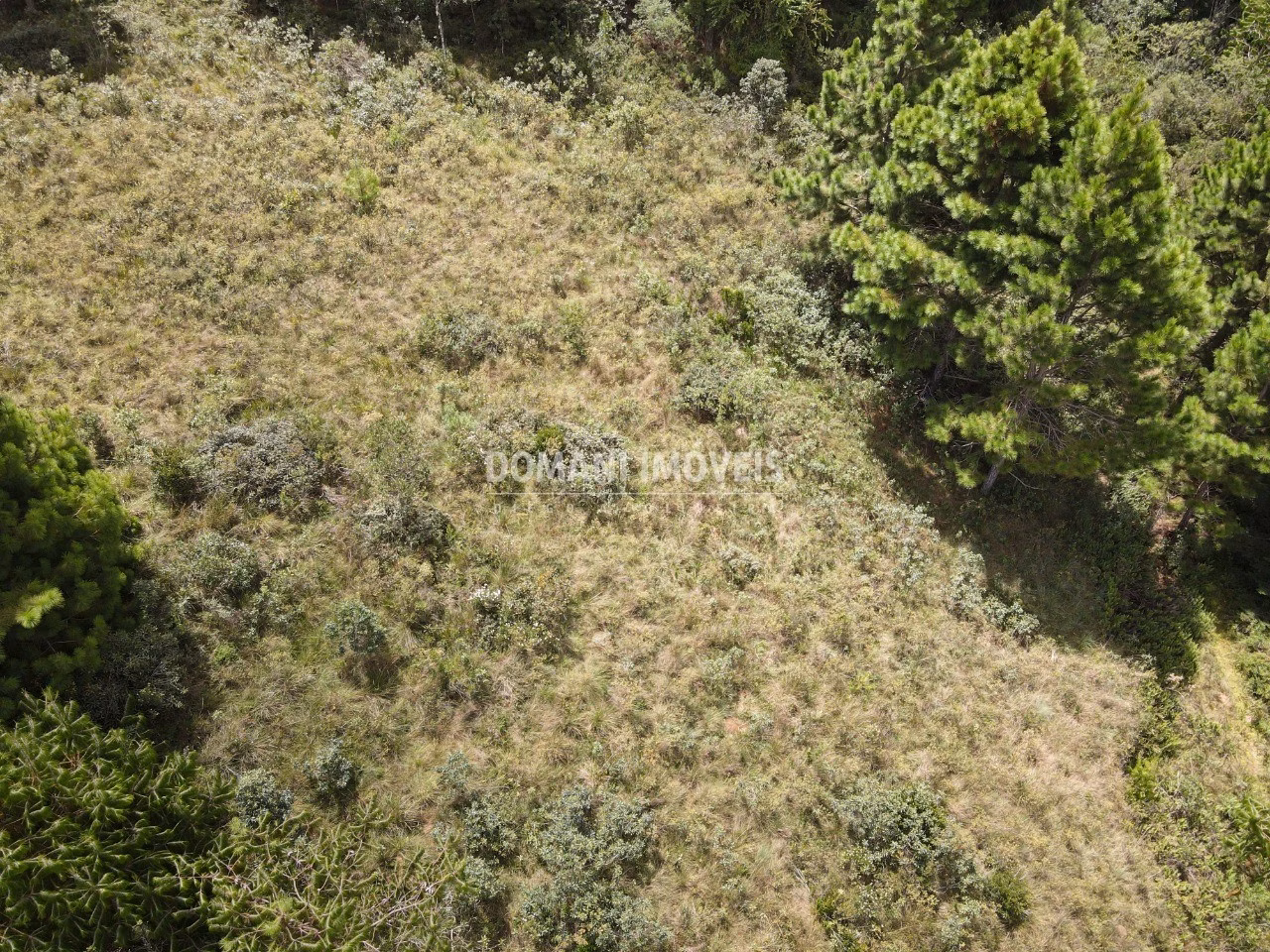 Plot of 3,030 m² in Campos do Jordão, SP, Brazil
