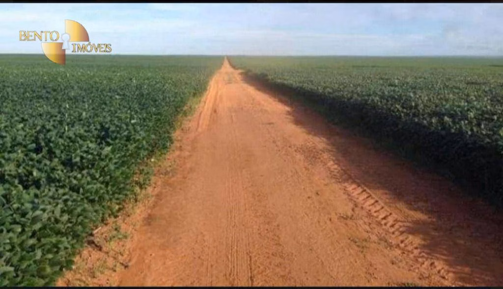 Fazenda de 2.420 ha em Alta Floresta, MT