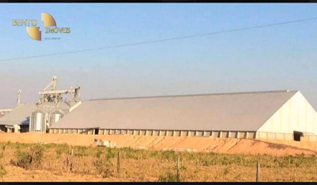 Fazenda de 2.420 ha em Alta Floresta, MT