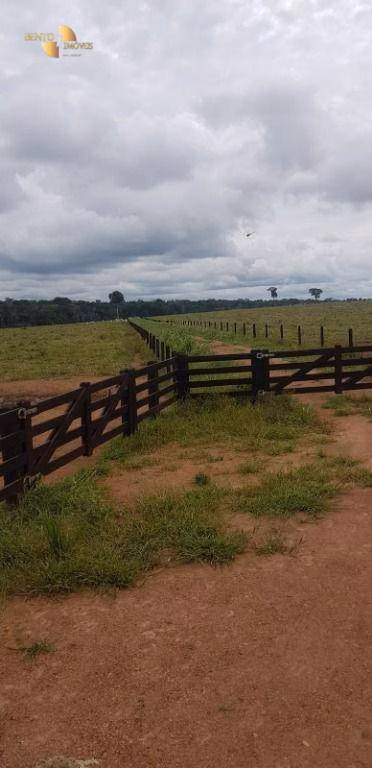 Fazenda de 2.420 ha em Alta Floresta, MT