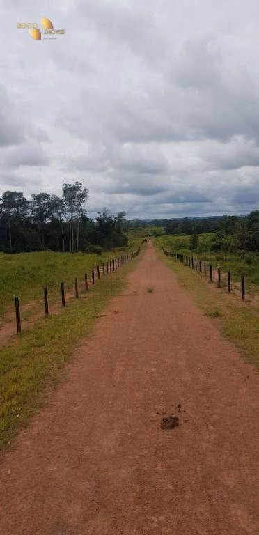 Fazenda de 2.420 ha em Alta Floresta, MT
