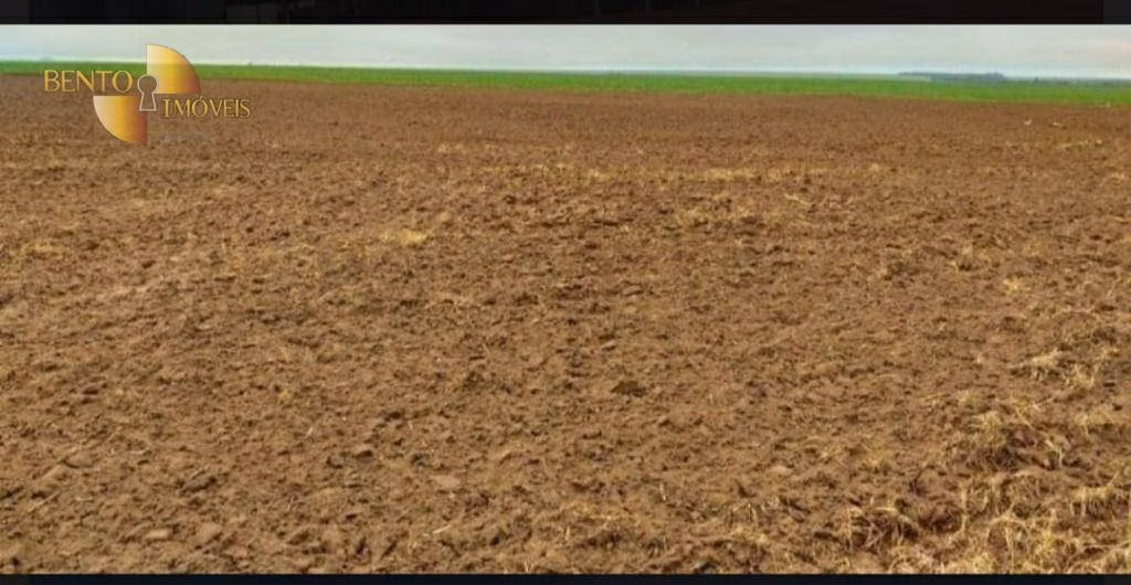Fazenda de 2.420 ha em Alta Floresta, MT