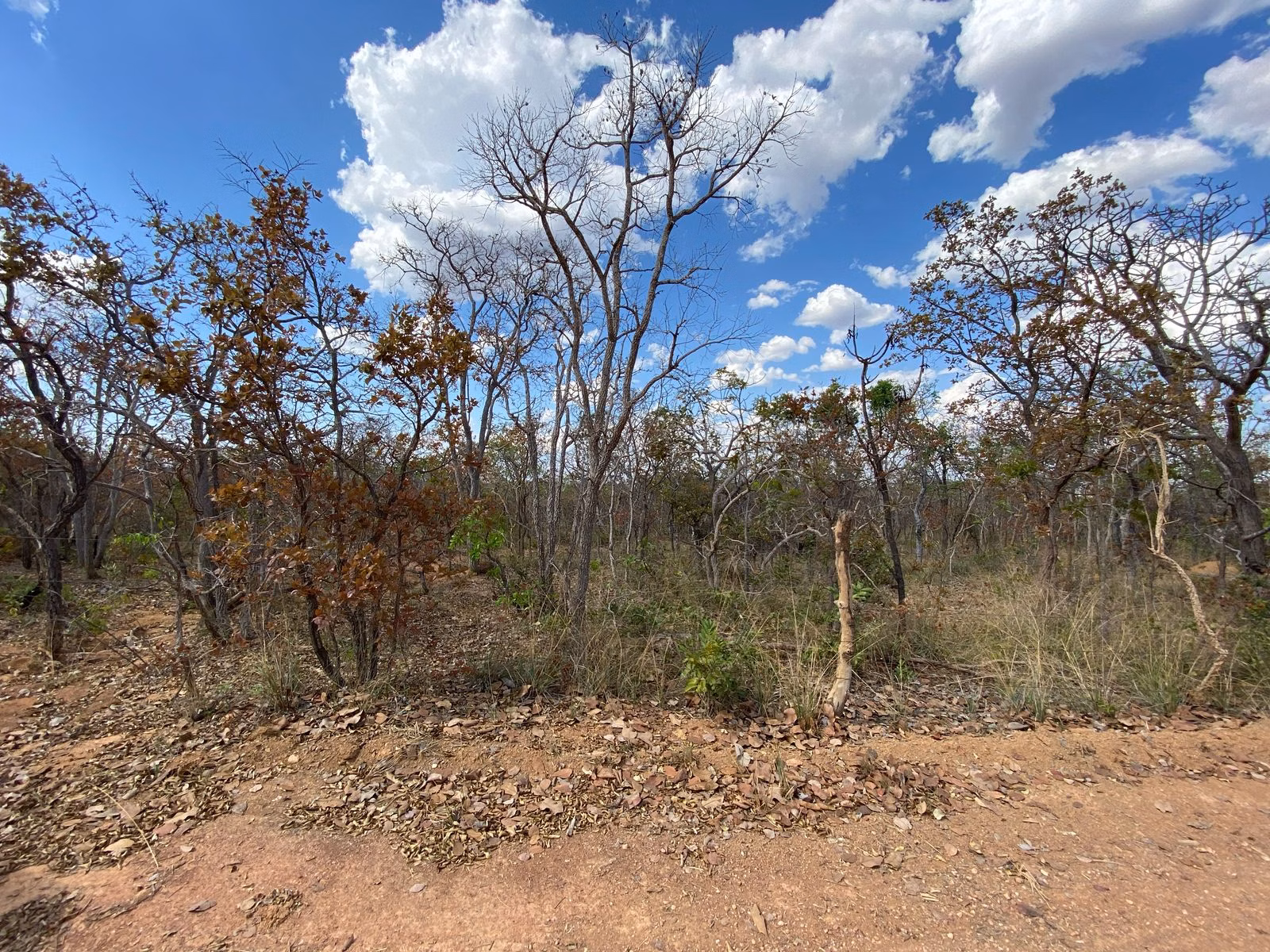 Terreno de 9 ha em Corinto, MG