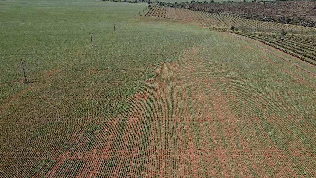 Fazenda de 121 ha em Itaí, SP