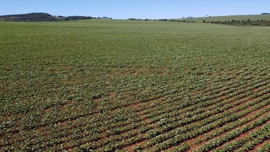 Fazenda de 121 ha em Itaí, SP