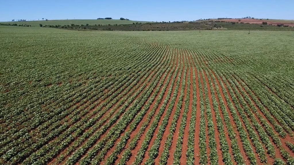 Fazenda de 121 ha em Itaí, SP