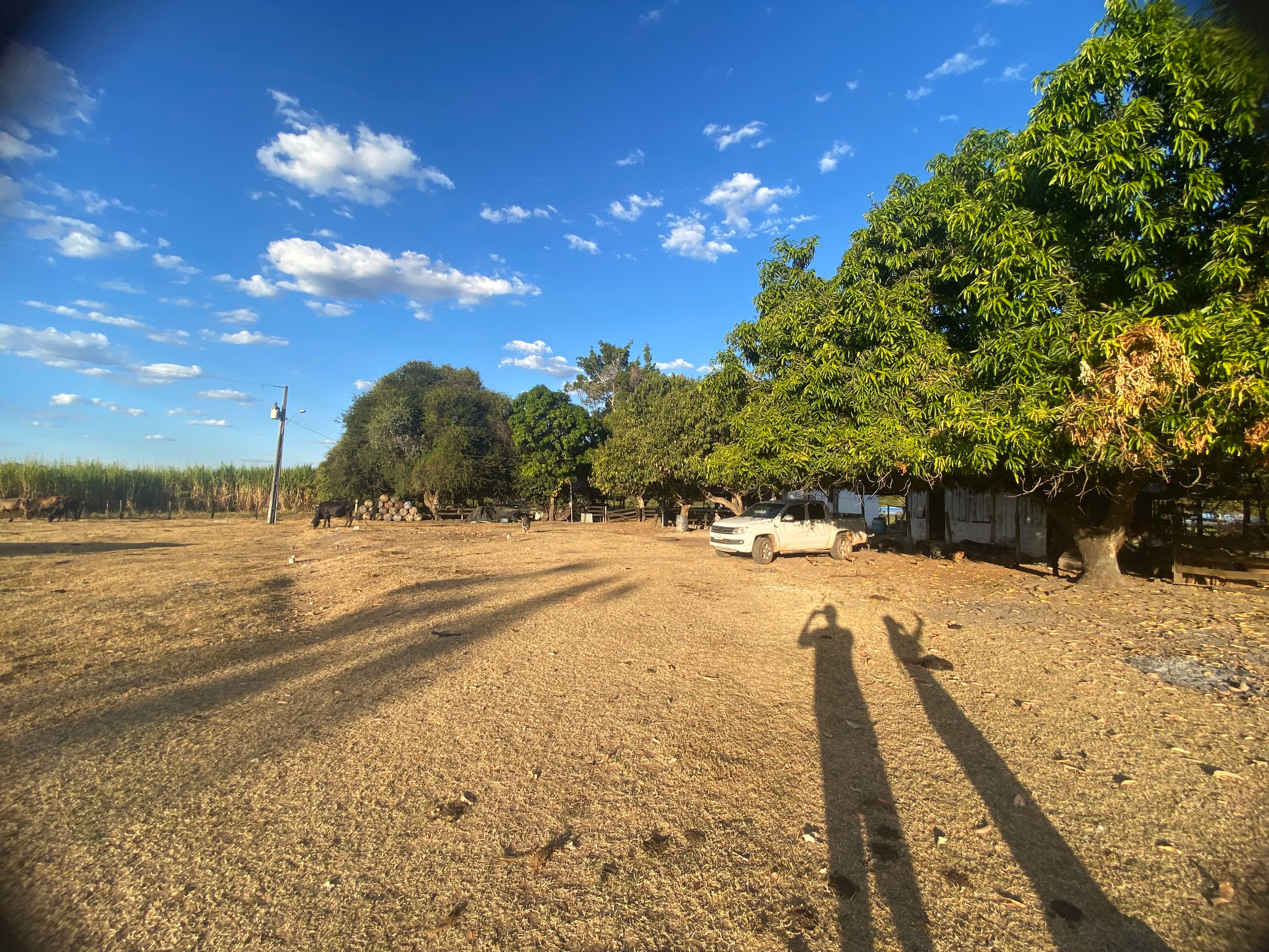 Farm of 956 acres in Redenção, PA, Brazil