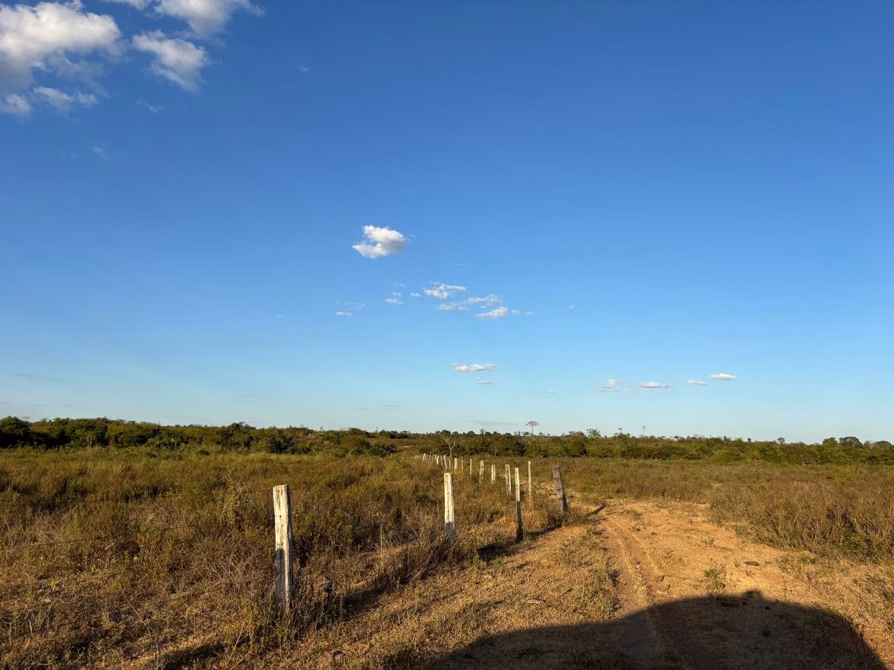 Farm of 956 acres in Redenção, PA, Brazil
