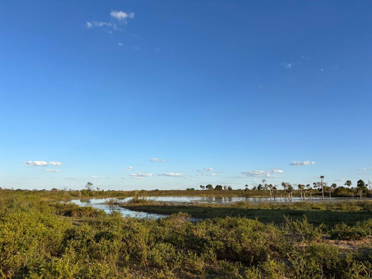 Farm of 956 acres in Redenção, PA, Brazil