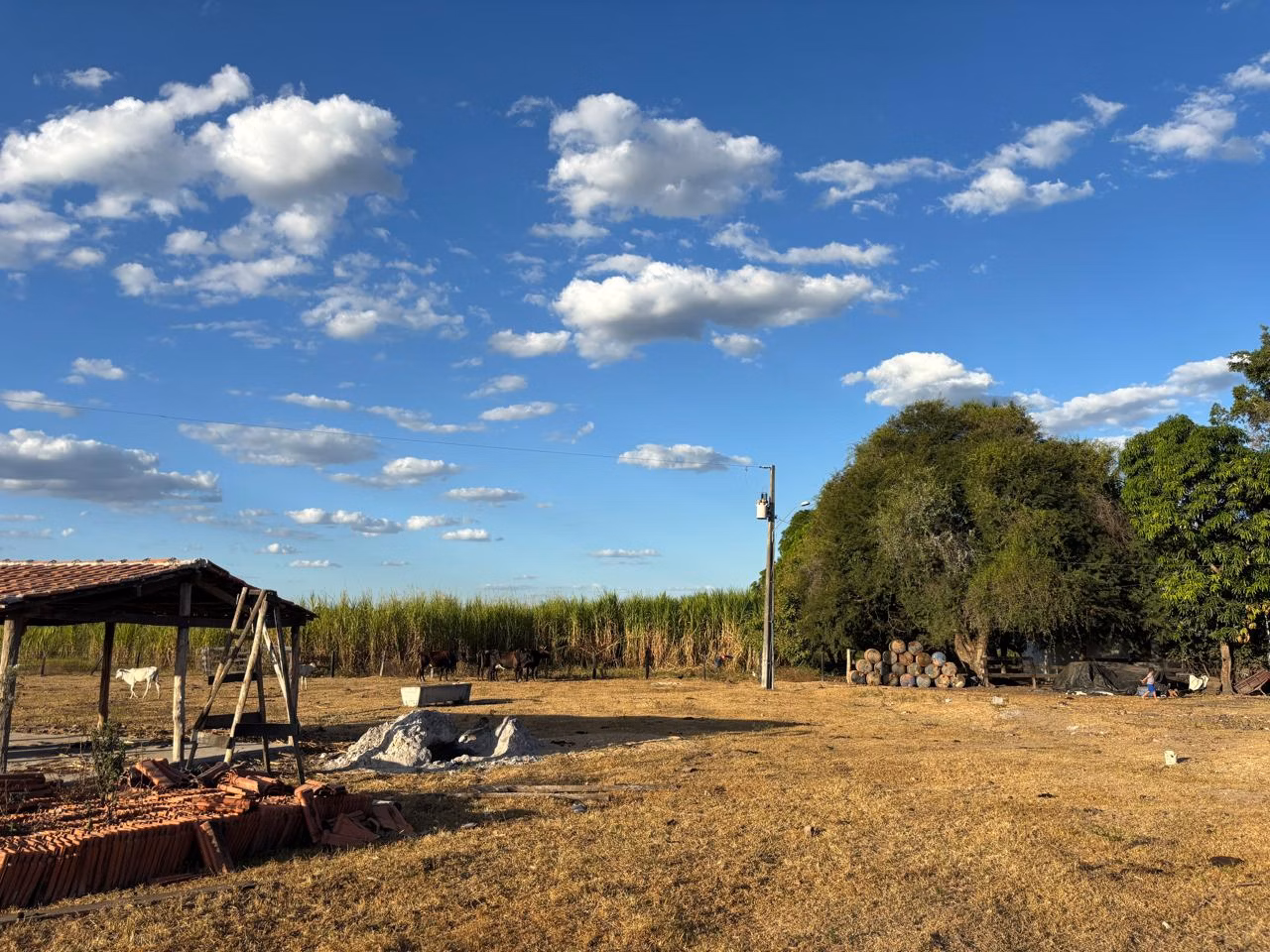 Farm of 956 acres in Redenção, PA, Brazil