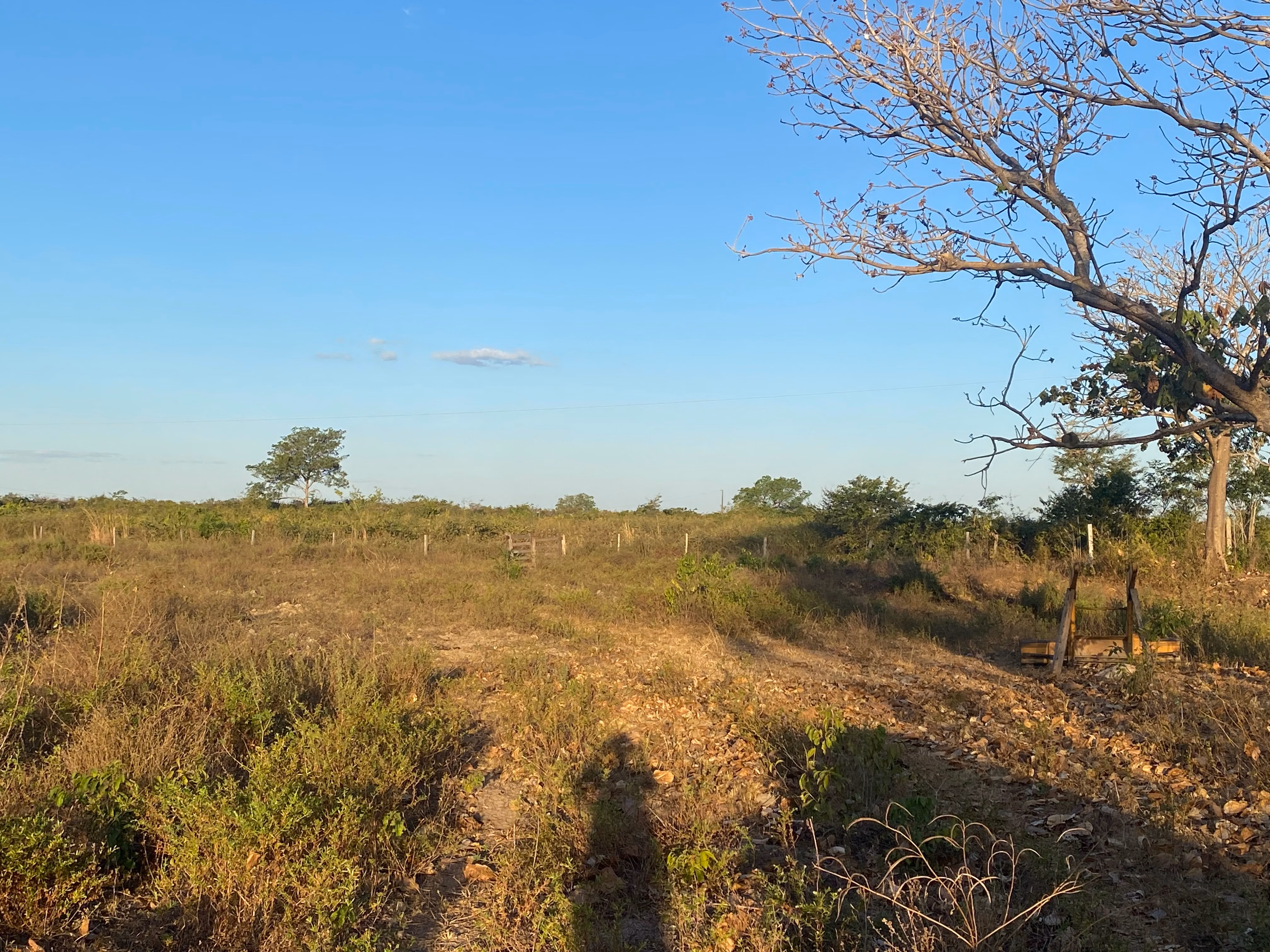 Farm of 956 acres in Redenção, PA, Brazil