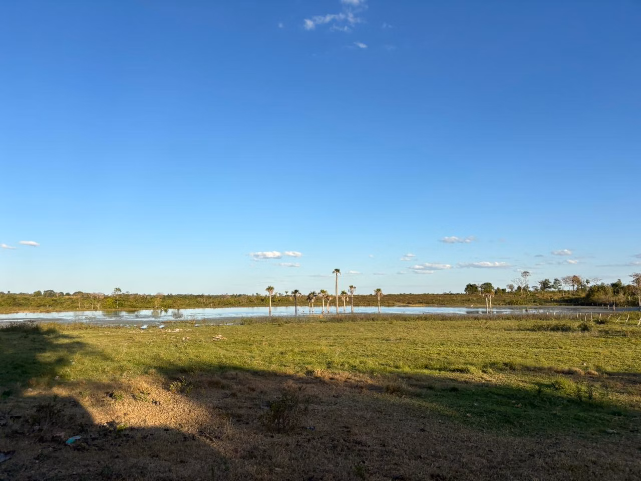 Farm of 956 acres in Redenção, PA, Brazil