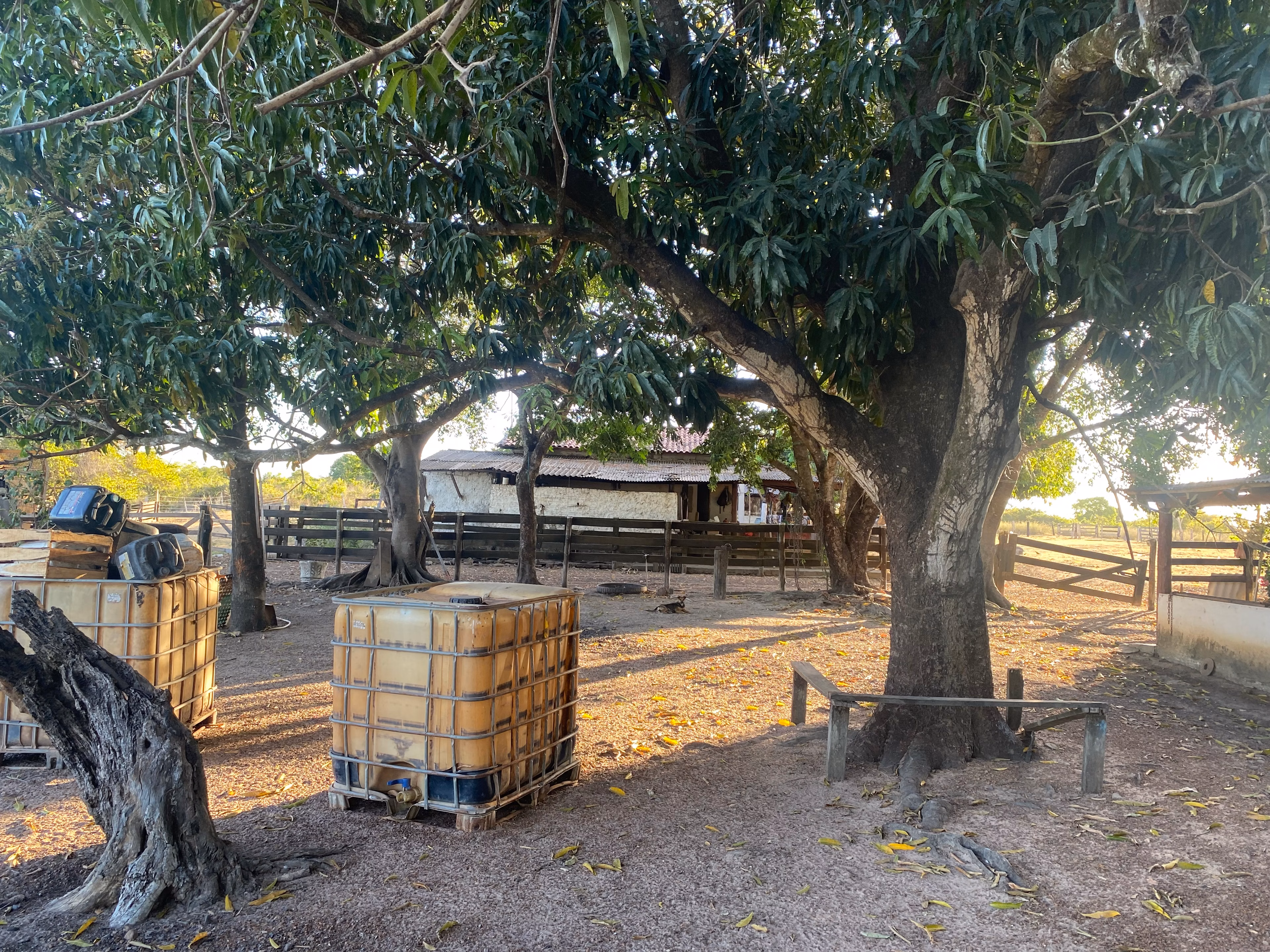 Farm of 956 acres in Redenção, PA, Brazil