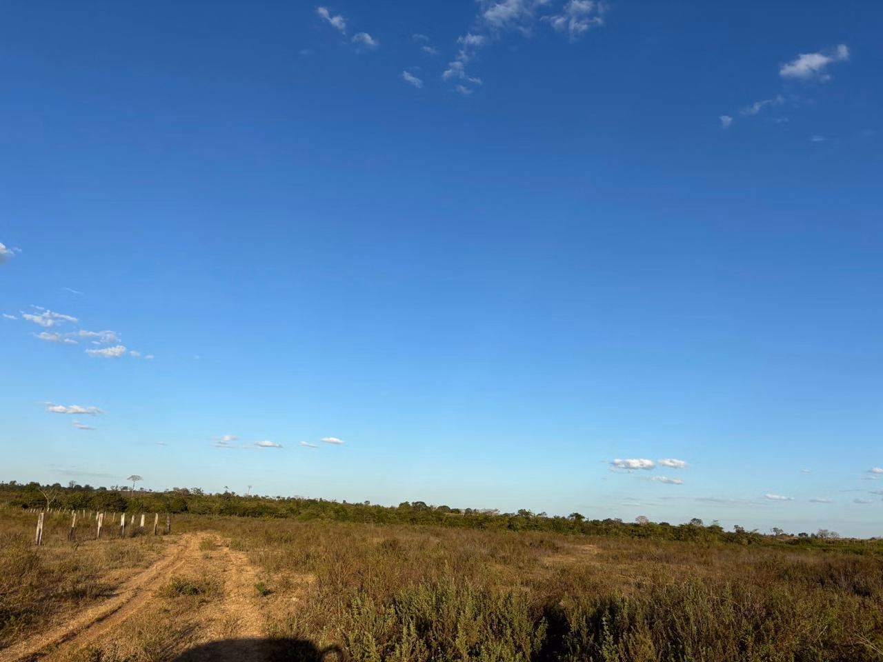 Farm of 956 acres in Redenção, PA, Brazil