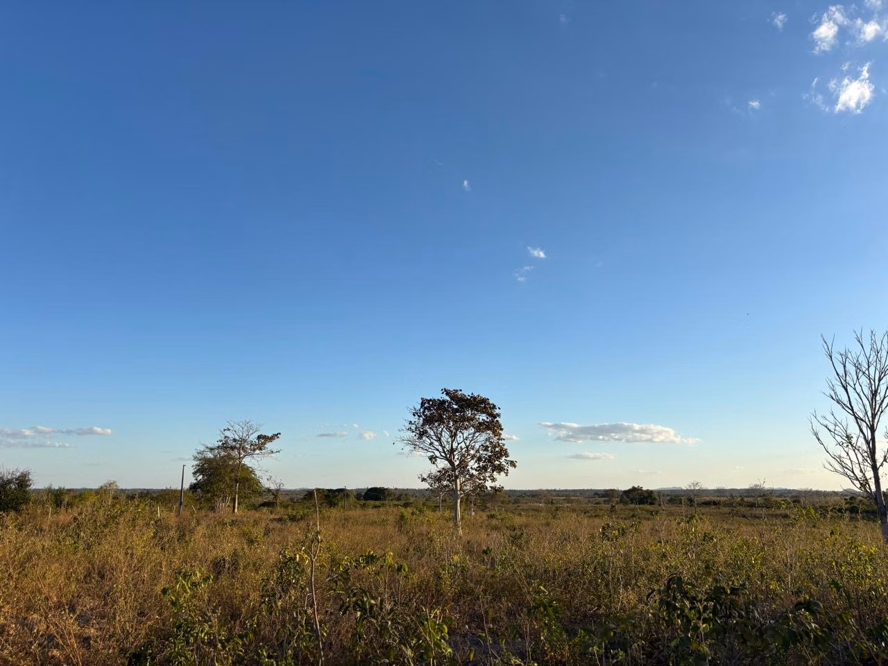 Farm of 956 acres in Redenção, PA, Brazil