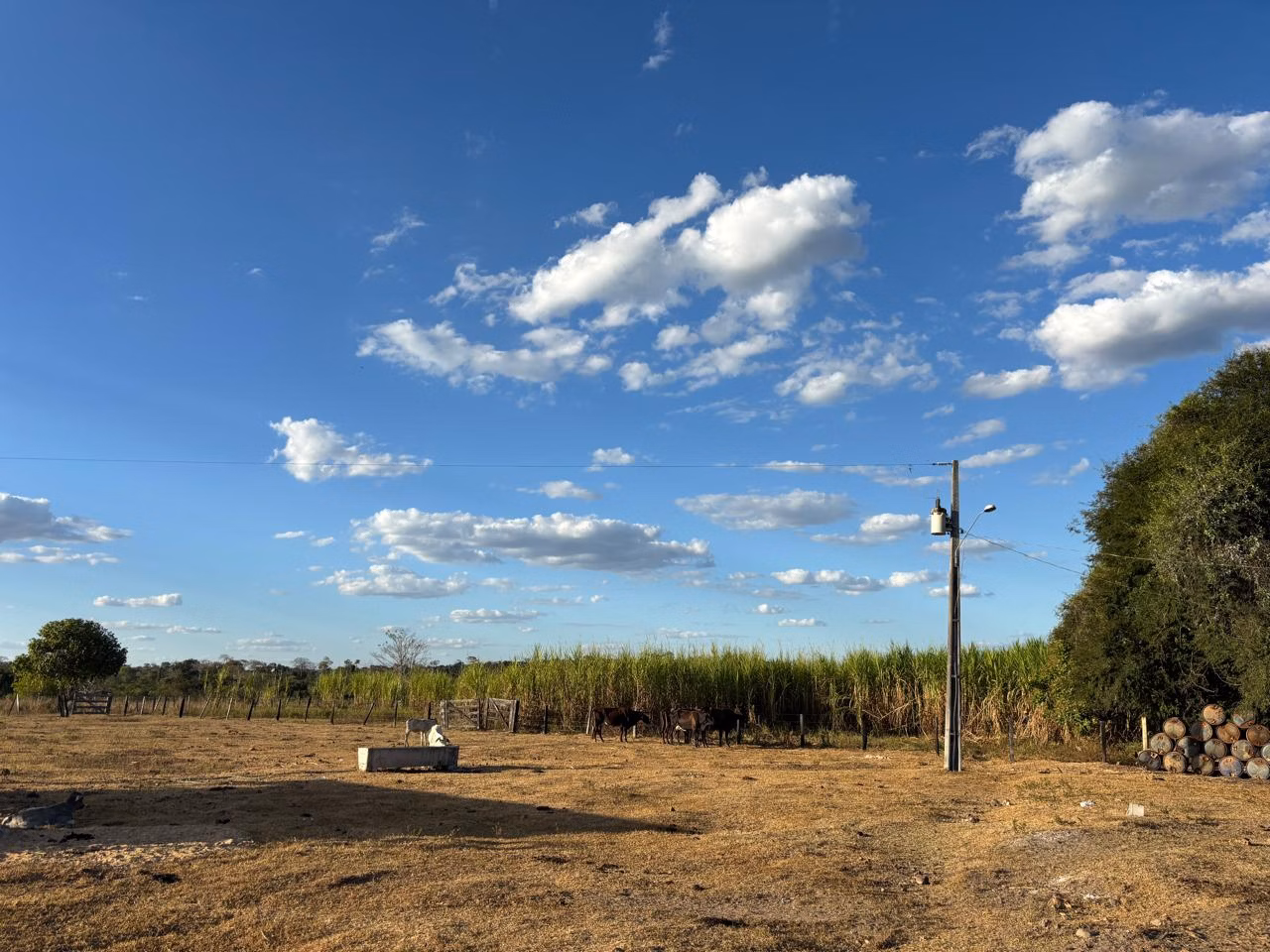 Farm of 956 acres in Redenção, PA, Brazil