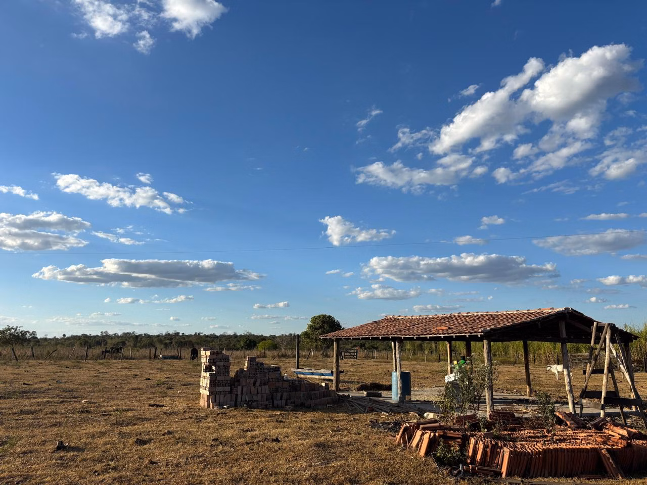 Farm of 956 acres in Redenção, PA, Brazil