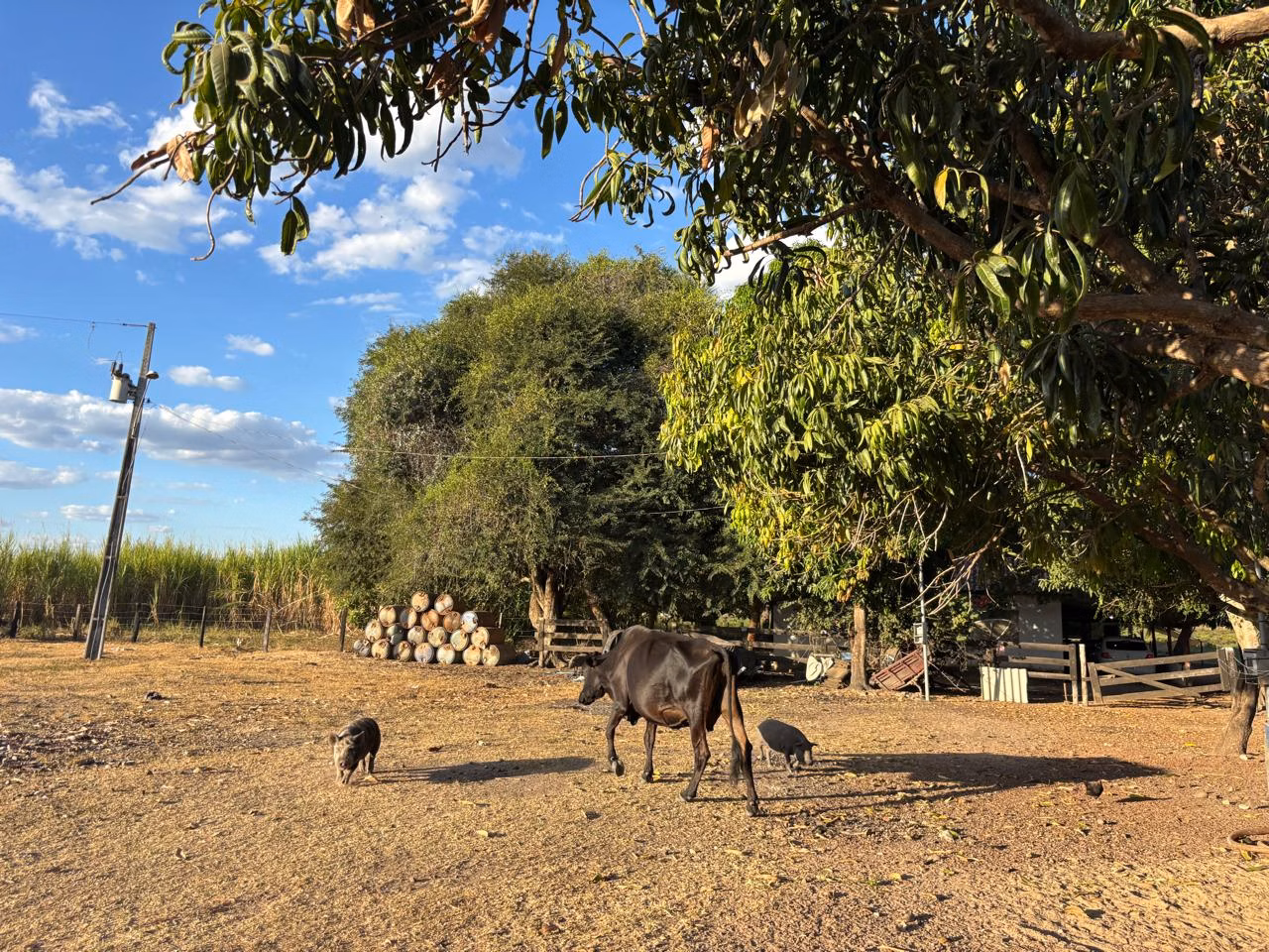 Farm of 956 acres in Redenção, PA, Brazil