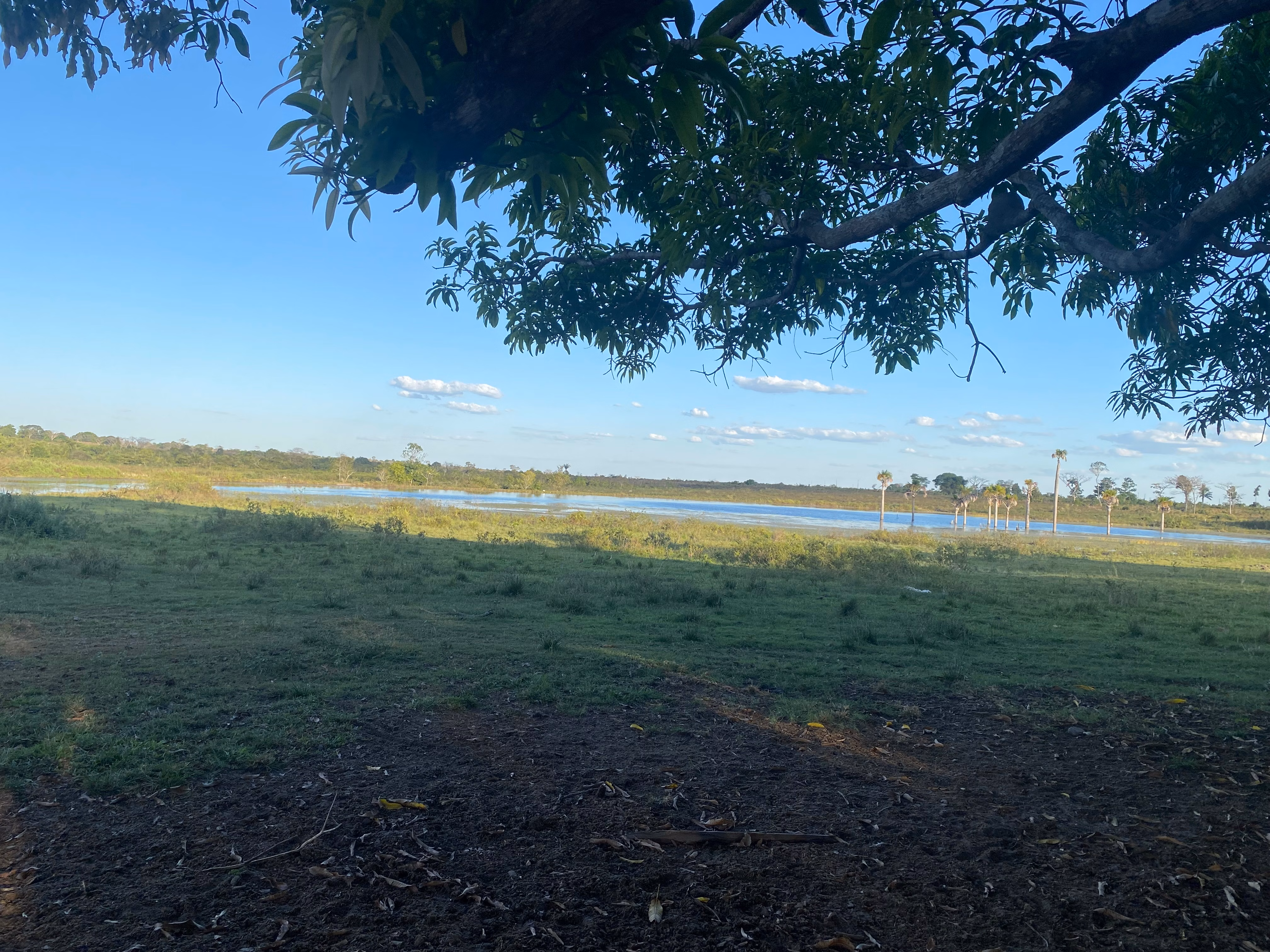 Farm of 956 acres in Redenção, PA, Brazil