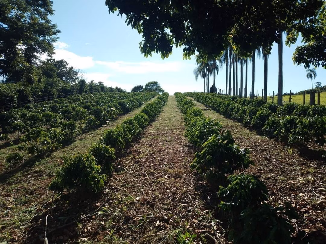 Chácara de 1 ha em Ouro Fino, MG