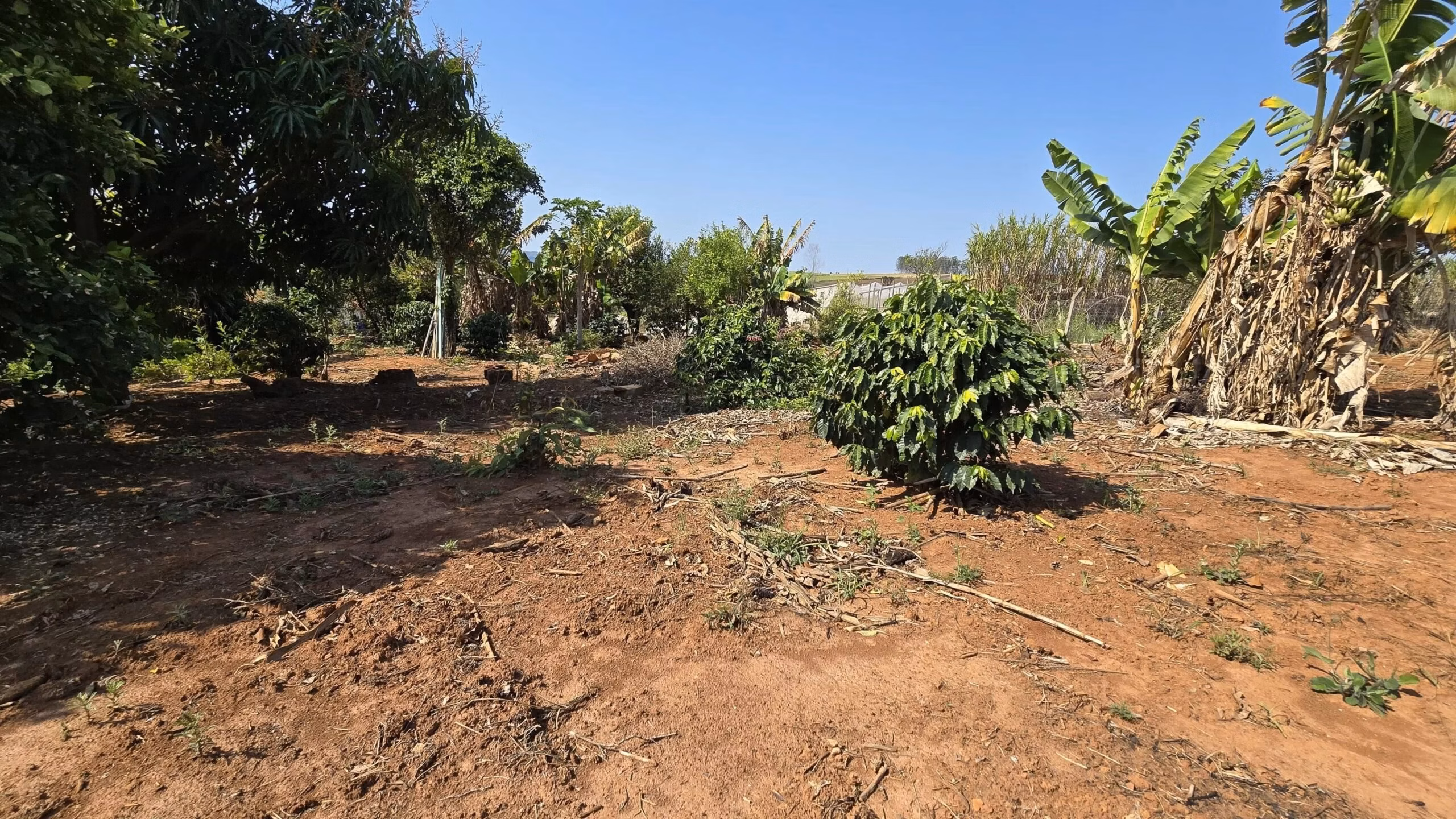 Country home of 1 acres in Jaboti, PR, Brazil