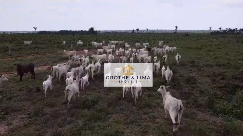 Fazenda de 1.222 ha em Araguaína, TO
