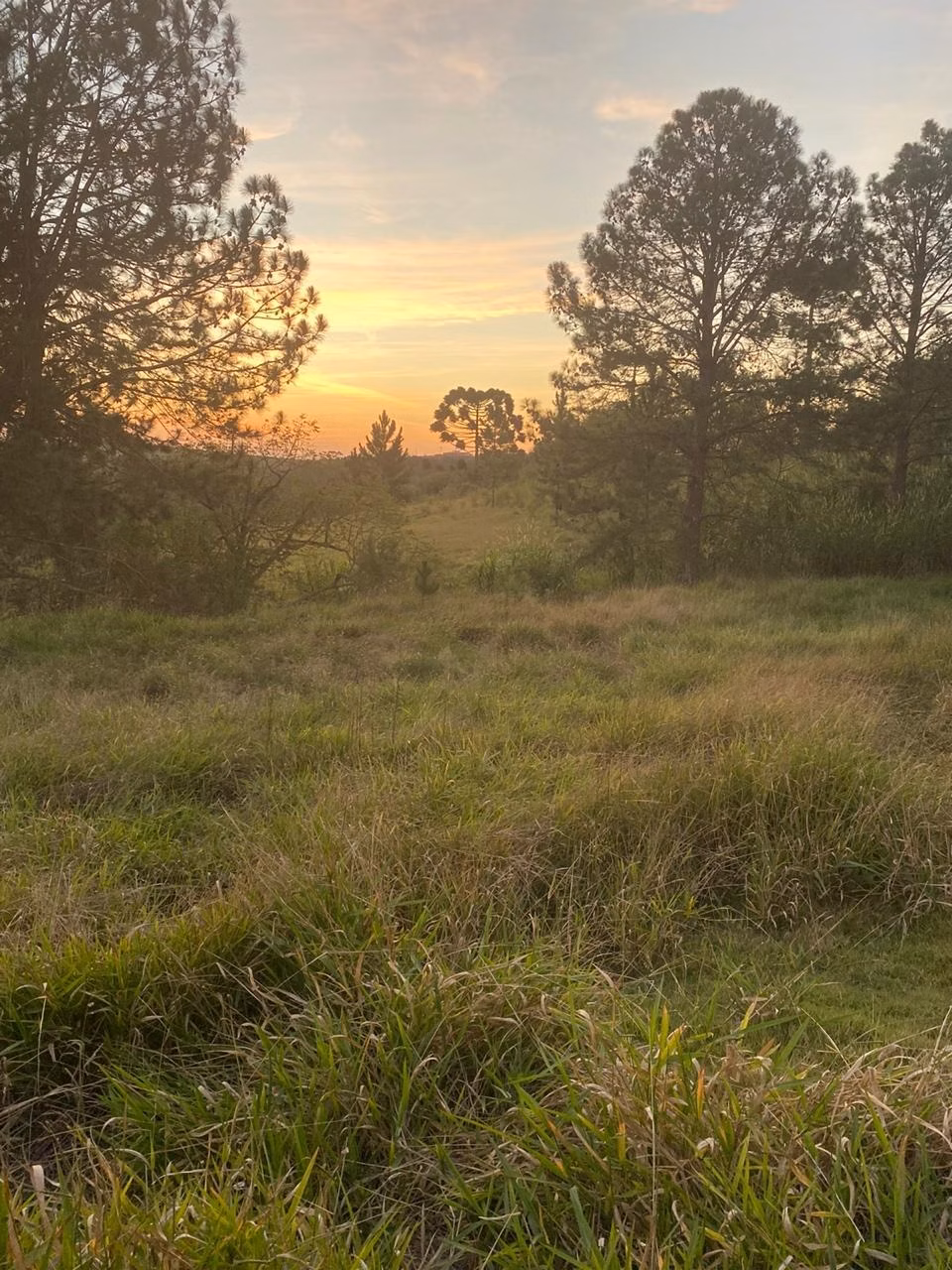 Chácara de 5 ha em São Miguel Arcanjo, SP