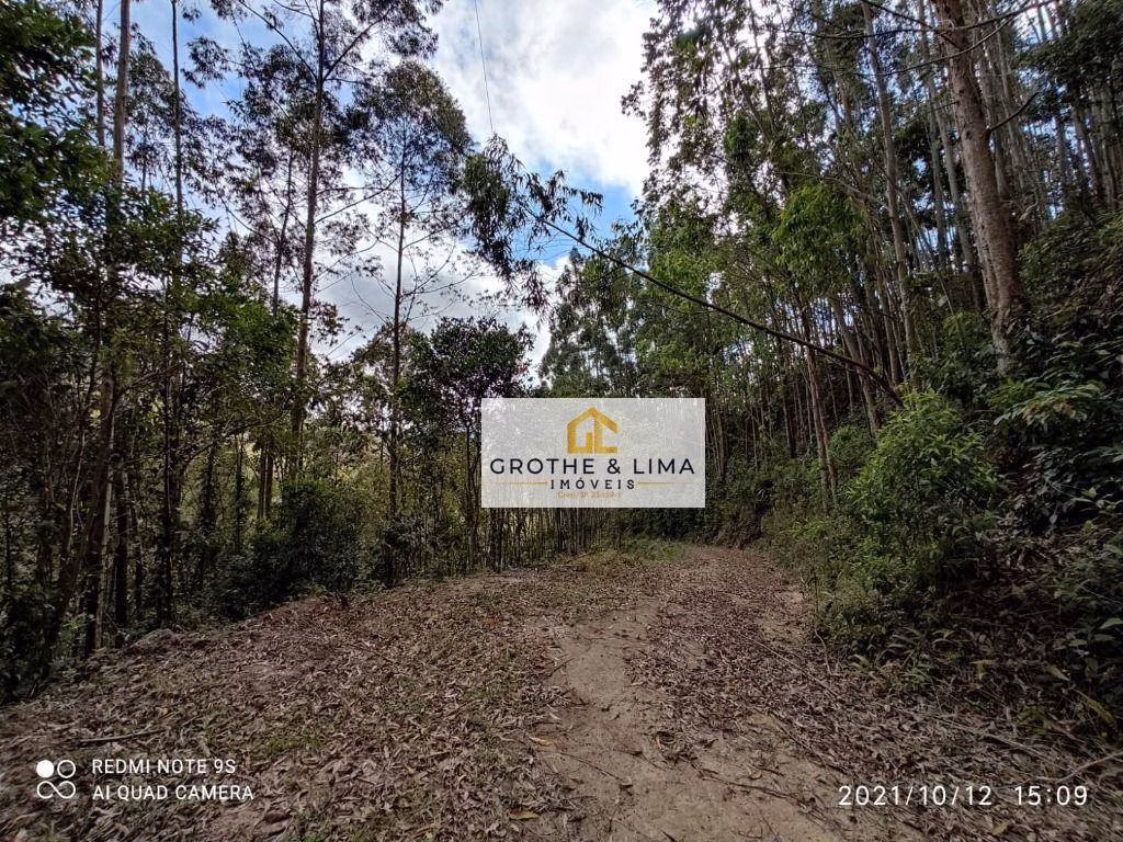 Sítio de 40 ha em Natividade da Serra, SP